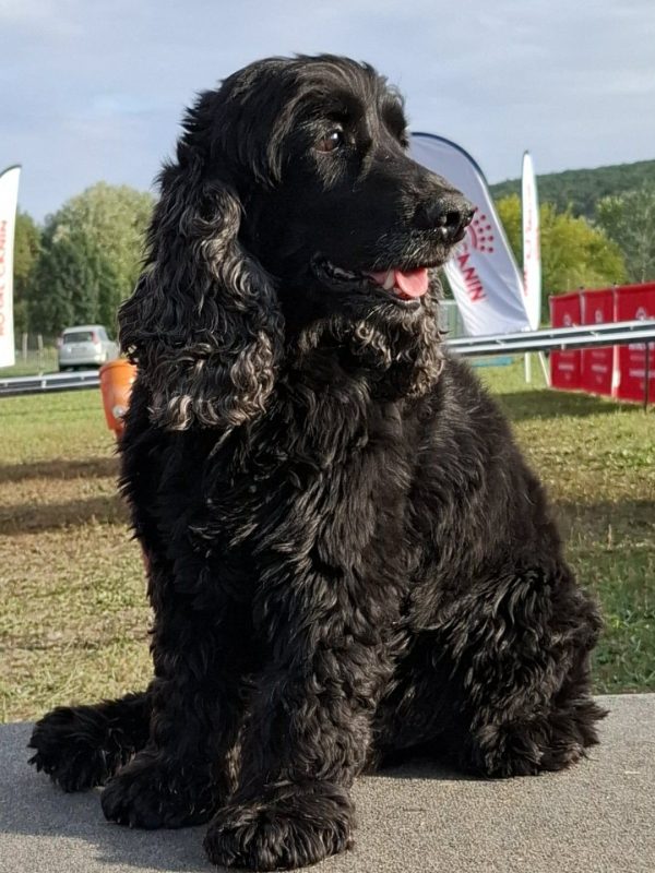 561592496_1198268778999420_9044737535769507323_n