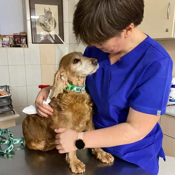 575460689_4391156287828297_6732420037151442344_n